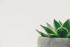 Embrace Simplicity: Your Guide to Starting a Minimalist Journey - Storehouse Essentials