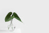 The Transformative Benefits of Embracing Minimalism - Storehouse Essentials