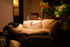 Create a Minimalist Home with Meaningful Decor Items - Storehouse Essentials